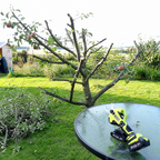 Electric Pruning Shears